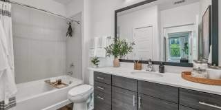 Mercury Noda Gallery 5