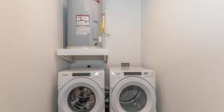 Live Grandscape Gallery 32