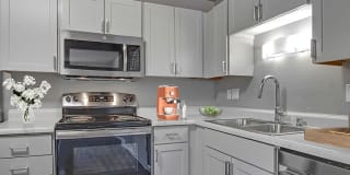 The Aurora Gallery 4