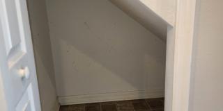 15702 Fishhawk Falls Dr Gallery 14