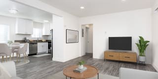 Aurora Vista Gallery 1