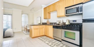 The Orsini Gallery 57