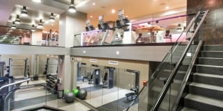 Lex and Leo at Waterfront Station Gallery 26