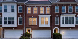21776 LADYSLIPPER Square Gallery 1