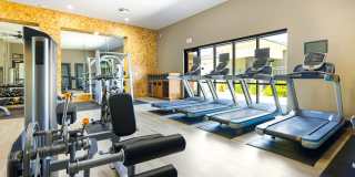 Olympus Alameda Gallery 30