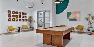 The Kavista Gallery 20