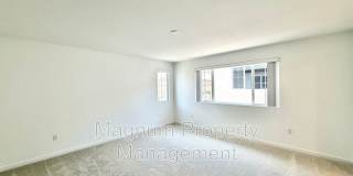 31404 Lolite Dr Gallery 27