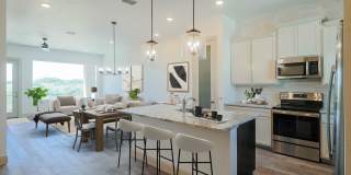 289 STARGRASS Gallery 1