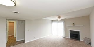 The Palmer Gallery 6