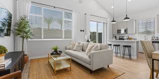 Village of Chandler Gallery 8