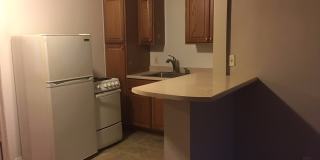 COZY 1BD/1BA LOWER SOUTH HILL APARTMENT | A/C | ON-SITE LAUNDRY | PET FRIENDLY | $250 OFF MOVE-IN, OAC Gallery 2