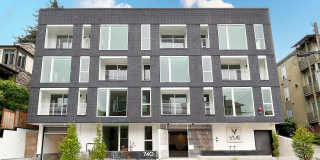 Vue on Harvard Gallery 1