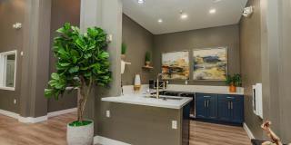 Austin Crest Apartments Gallery 23