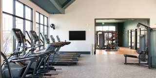 Novel River District Gallery 17