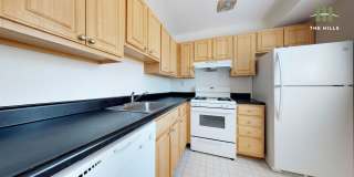 Mallow at The Hills Gallery 2