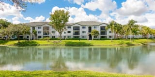 Palm Trace Landings Gallery 28