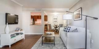Copper Flats Gallery 8