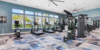 Mason Stuart Gallery 28