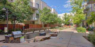 Cortland Belmar Gallery 55