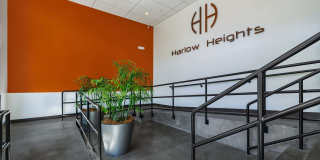 Harlow Heights Gallery 11