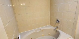 3 Bed/2 Bath Single Level Home near Parks and Schools - Daggett Lane Gallery 10
