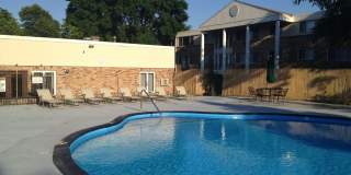 Willows on France Gallery 31