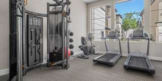 Haven at Midtown Gallery 19