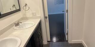 True Beauty! SOLAR Gallery 21