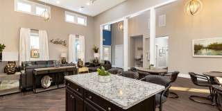 The Westport Gallery 13