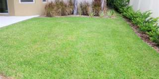 8828 Tropical Palm Dr Gallery 29