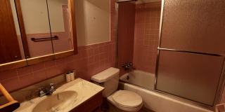 4214 Blossomwood Drive Gallery 31
