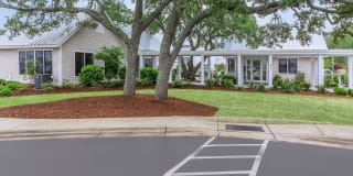 Arboretum Village Gallery 13