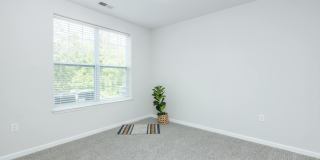 Riverstone Apartments at Long Shoals Gallery 52