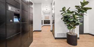 Union at Roosevelt I and II Gallery 21