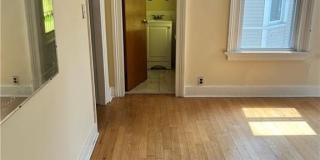 259 Humphrey Street Gallery 10