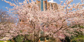 The Magnolia Gallery 36