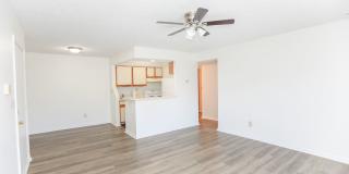 "Low Maintenance Living" In Prime Hampton Roads Area Gallery 10
