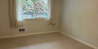 1-bed, 1-bath Condo in the heart of Northgate! Gallery 13
