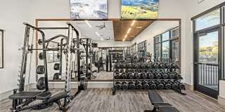 The Aster at Mountain Vista - BRAND NEW Gallery 29