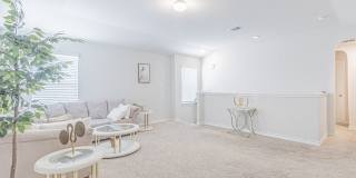 7019 CAPELLA CV Gallery 30