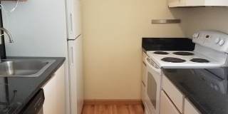 Spacious 1 Bed/1 Bath Condo in Wallingford/Fremont Gallery 5
