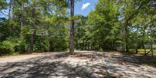 Charming 2 Bedroom Home, close to USC & located on a Large Lot! Gallery 6
