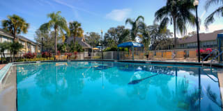 Town Place Gallery 2