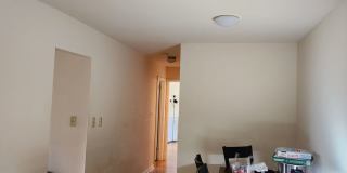 Graduate and Professional Gallery 146