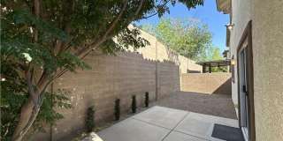 637 Lucky Pine Street Gallery 40
