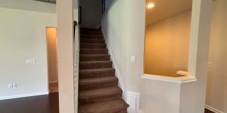 1009 Magnolia Blossom Ln Gallery 46