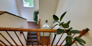 4227 PURPLE TWILIGHT Way Gallery 29