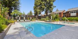 Peartree Apartments Gallery 14
