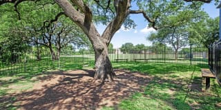 The Falls Round Rock Gallery 15