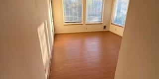 OliveT Gallery 22
